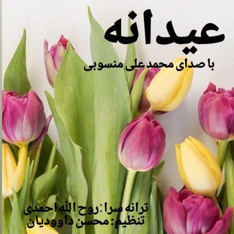 محمد علی منسوبی - عیدانه